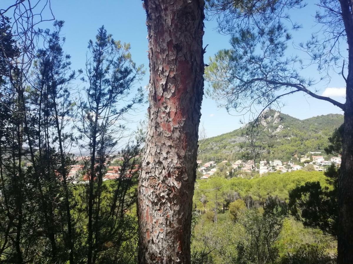 Casa Vacanze "Villa Severina" Iun R6166 R6692 Carbonia Eksteriør billede